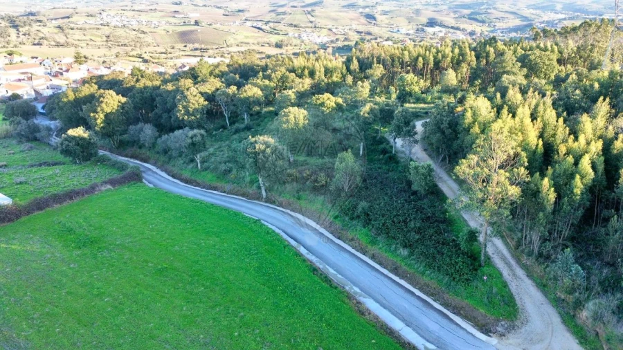 Terreno para Venda em Carvoeira e Carmões Foto 3