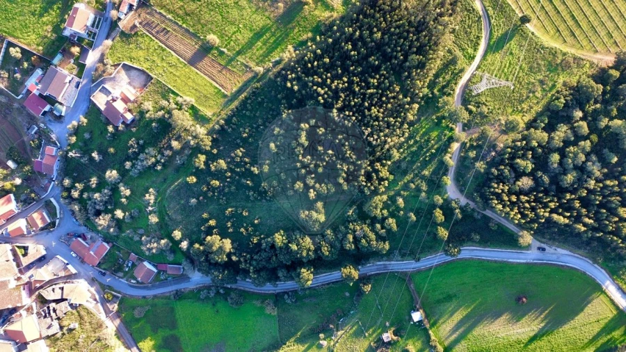 Terreno para Venda em Carvoeira e Carmões Foto 4