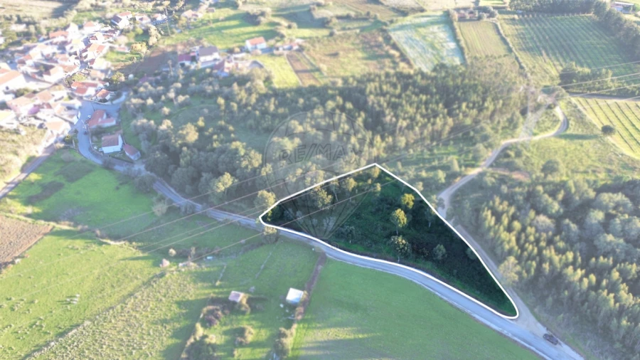 Terreno para Venda em Carvoeira e Carmões Foto 1