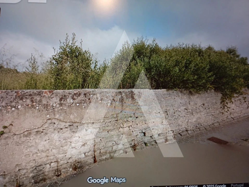 Terreno para Venda em Ílhavo (São Salvador) Foto 4