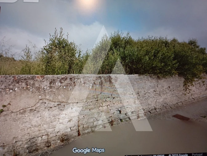 Terreno para Venda em Ílhavo (São Salvador) Foto 4