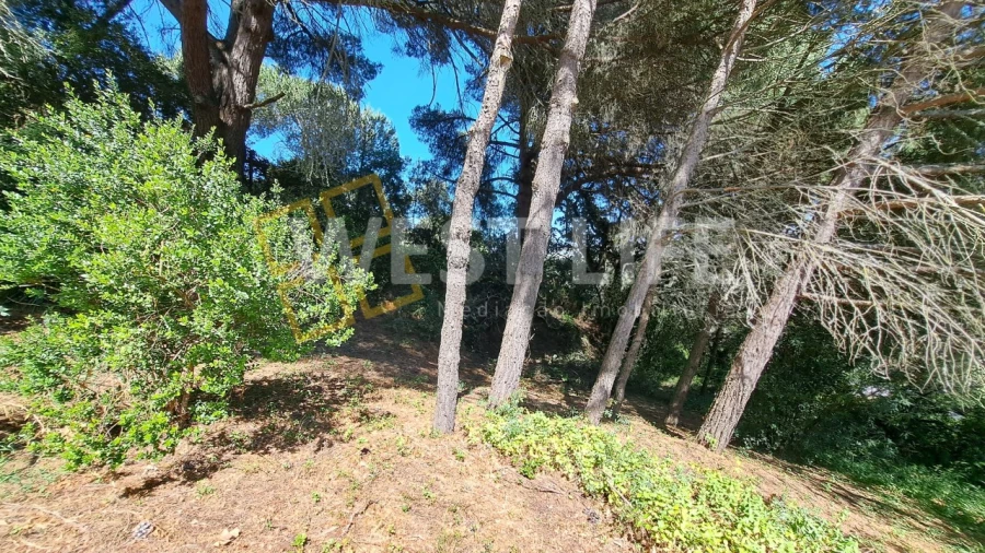 Moradia T3 para Venda em Malveira e São Miguel de Alcainça Foto 13