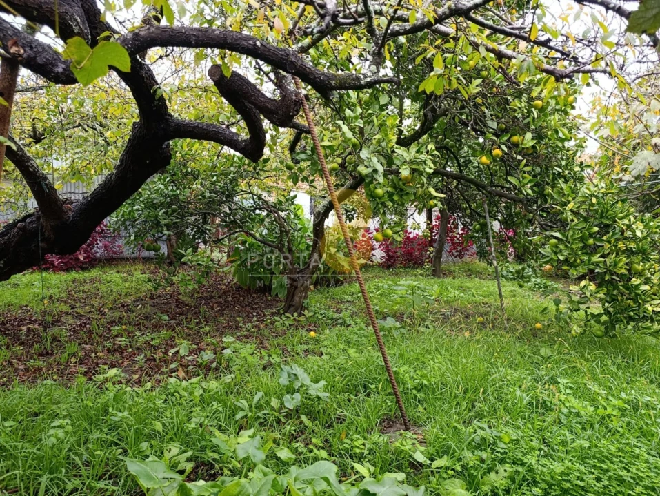 Prédio para Venda em Custóias, Leça do Balio e Guifões Foto 19