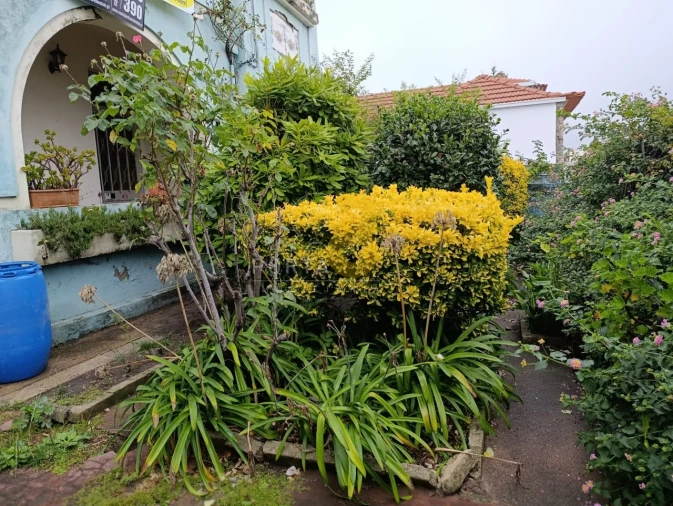 Prédio para Venda em Custóias, Leça do Balio e Guifões Foto 4