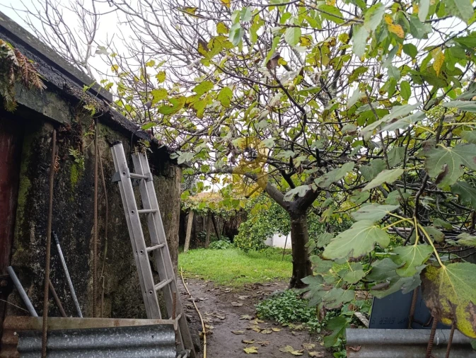 Prédio para Venda em Custóias, Leça do Balio e Guifões Foto 8