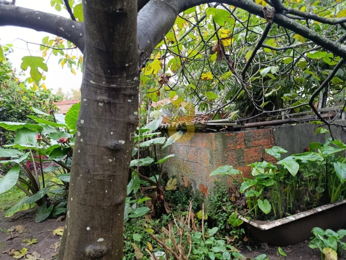 Prédio para Venda em Custóias, Leça do Balio e Guifões Foto 10