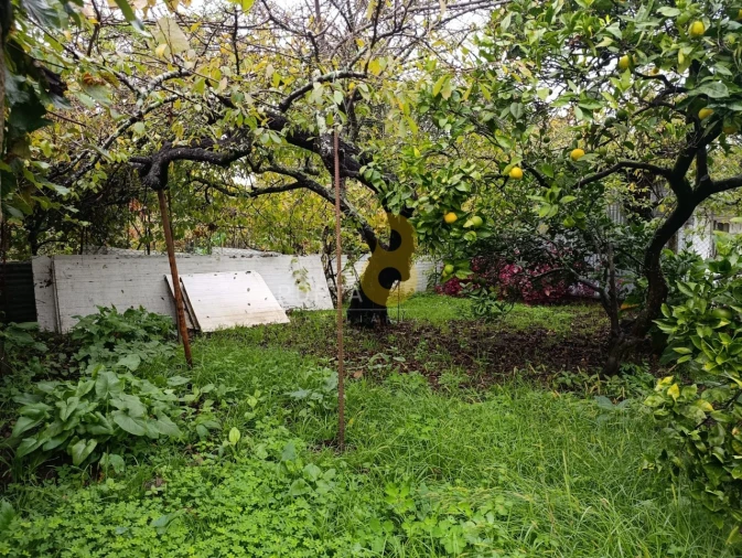 Prédio para Venda em Custóias, Leça do Balio e Guifões Foto 11