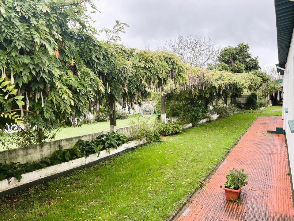 Negócio para Venda em Seixas Foto 43