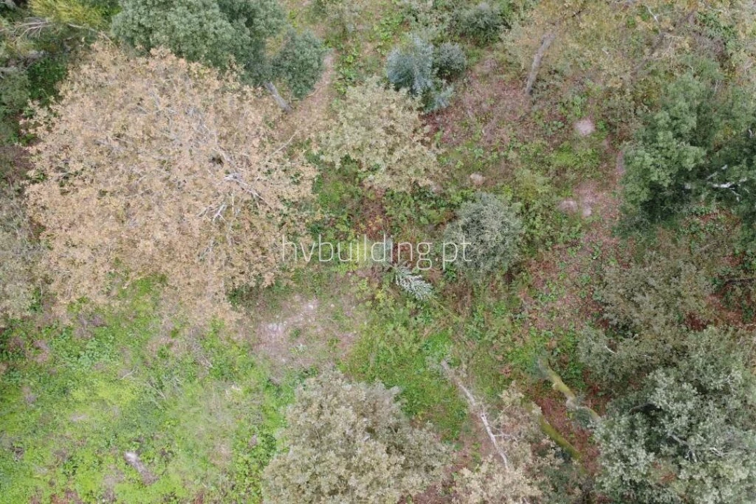 Terreno para Venda em Carvalhal Foto 3