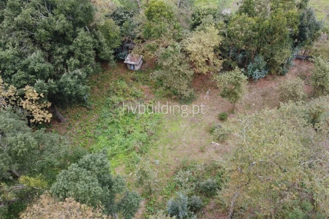 Terreno para Venda em Carvalhal Foto 4