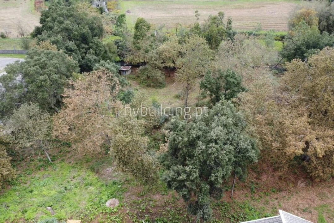Terreno para Venda em Carvalhal Foto 7
