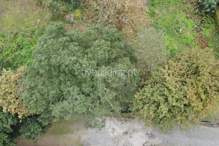 Terreno para Venda em Carvalhal Foto 2