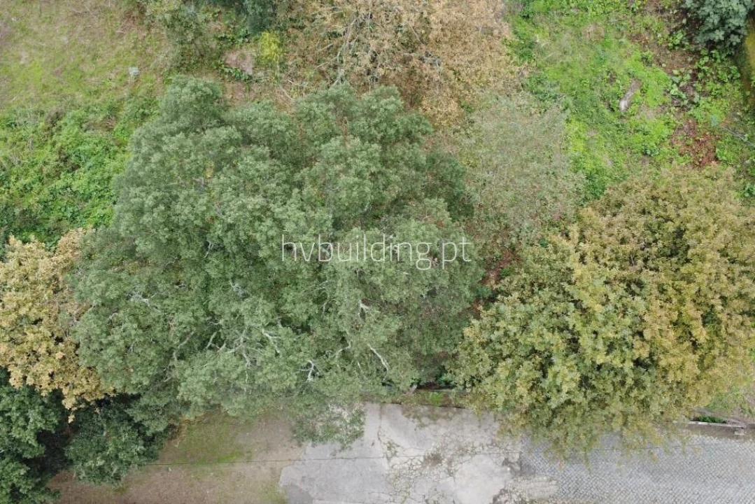 Terreno para Venda em Carvalhal Foto 2