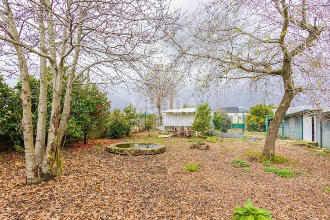 Terreno para Venda em São Martinho da Gandara Foto 24