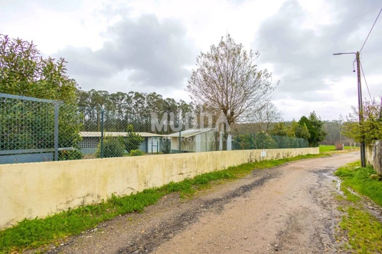Terreno para Venda em São Martinho da Gandara Foto 5
