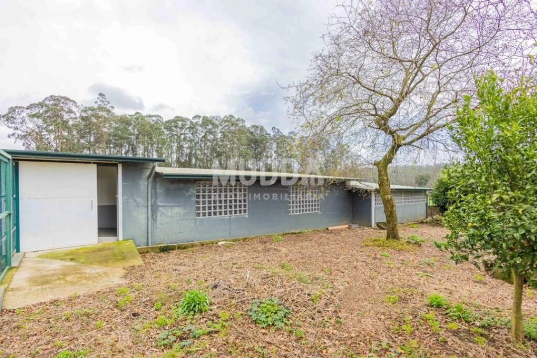 Terreno para Venda em São Martinho da Gandara Foto 1