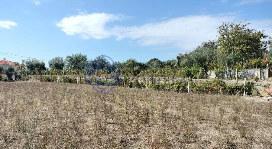 Quinta T3 para Venda em Povolide Foto 47