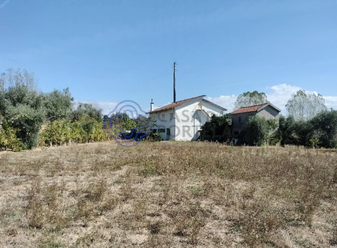 Quinta T3 para Venda em Povolide Foto 2