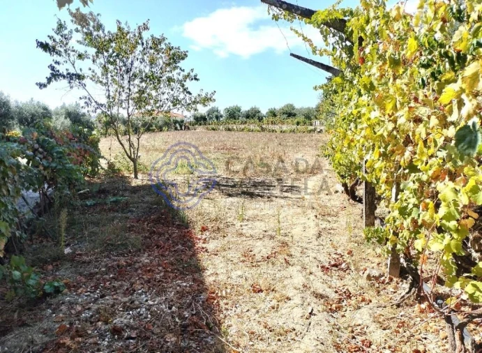 Quinta T3 para Venda em Povolide Foto 45