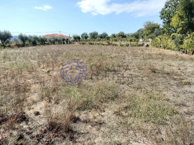 Quinta T3 para Venda em Povolide Foto 46