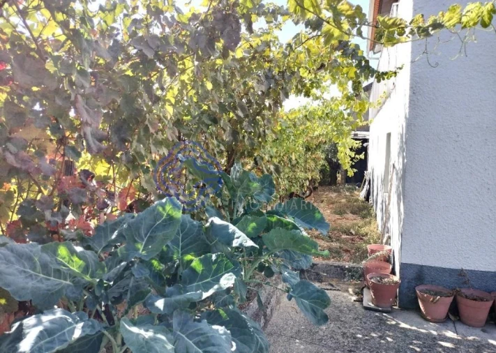 Quinta T3 para Venda em Povolide Foto 44