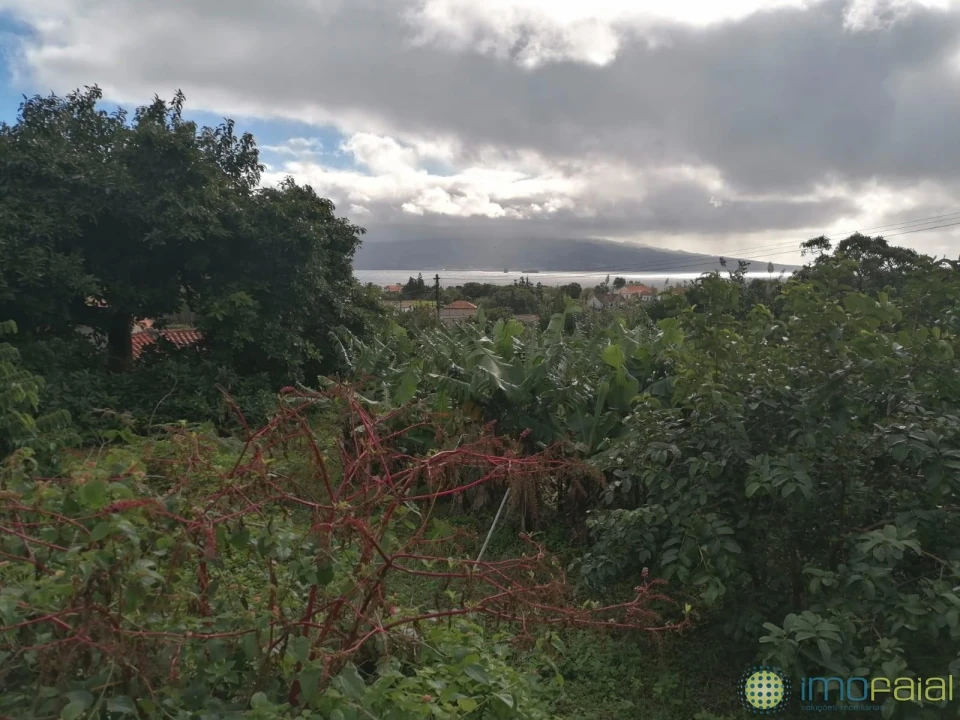 Moradia T4 para Venda em Pedro Miguel Foto 20