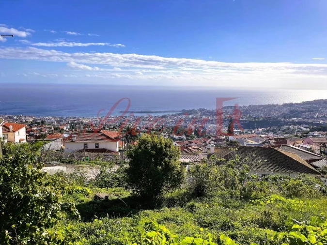 Terreno para Venda em Monte