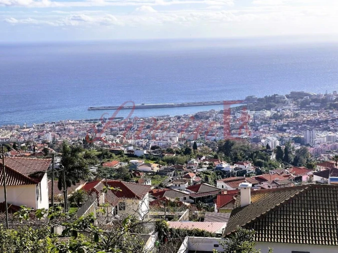 Terreno para Venda em Monte Foto 3