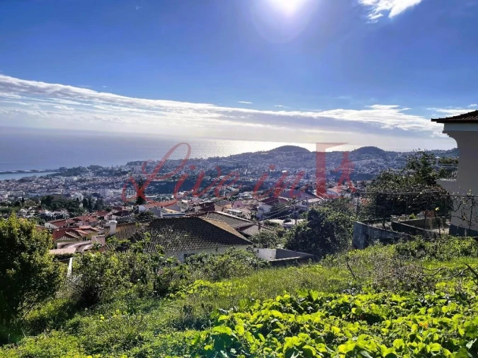 Terreno para Venda em Monte Foto 5