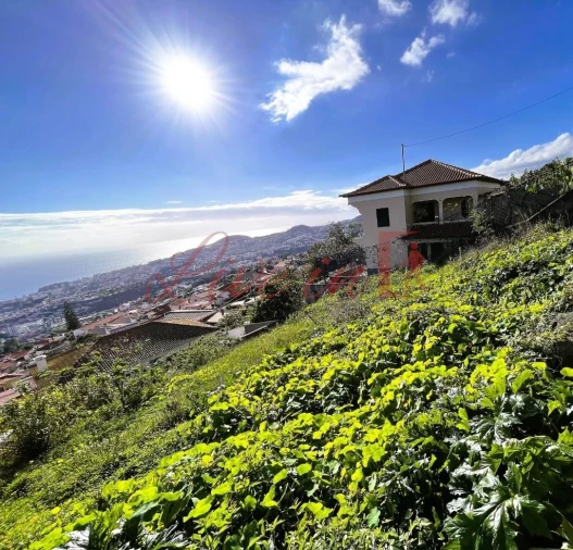 Terreno para Venda em Monte Foto 6