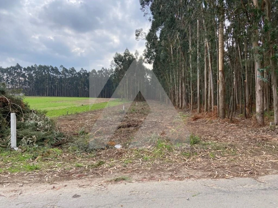 Terreno para Venda em Ovar, São João, Arada e São Vicente de Pereira Jusã Foto 1