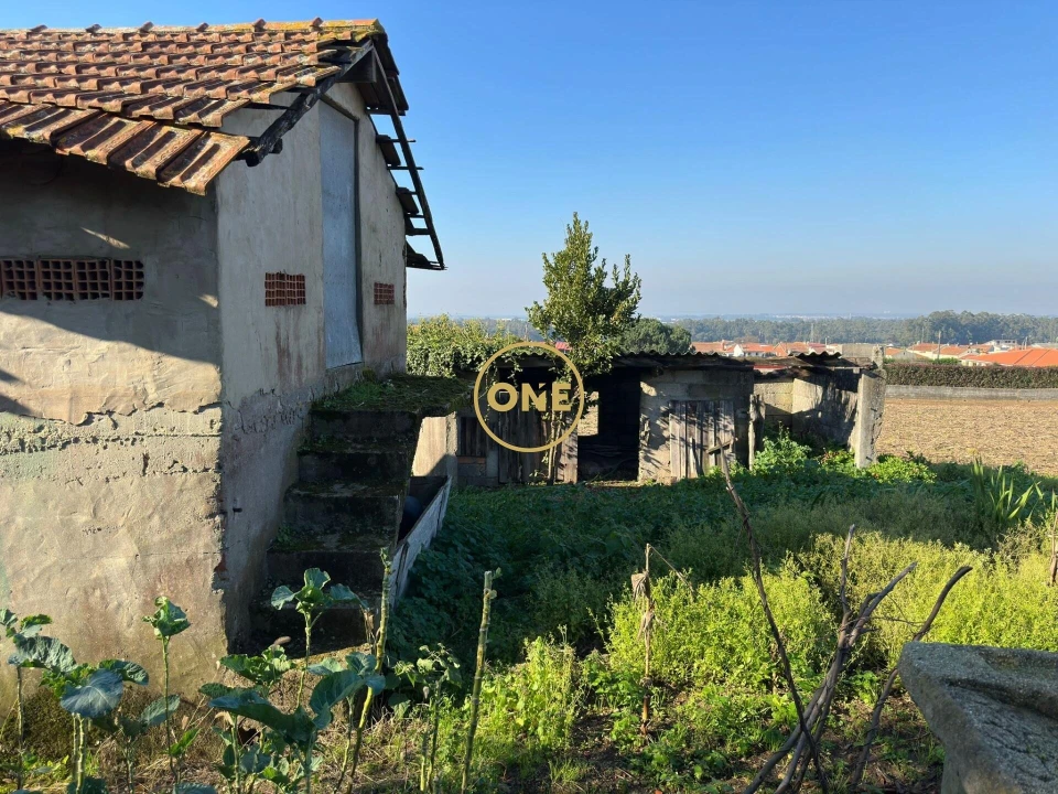 Moradia T3 para Venda em Laundos Foto 24