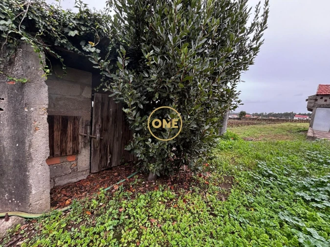 Moradia T3 para Venda em Laundos Foto 28