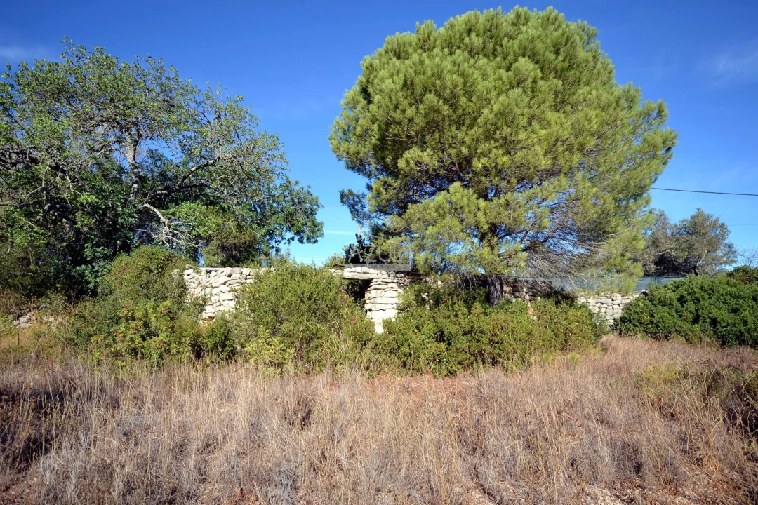 Terreno para Venda em Loule (São Sebastião) Foto 1