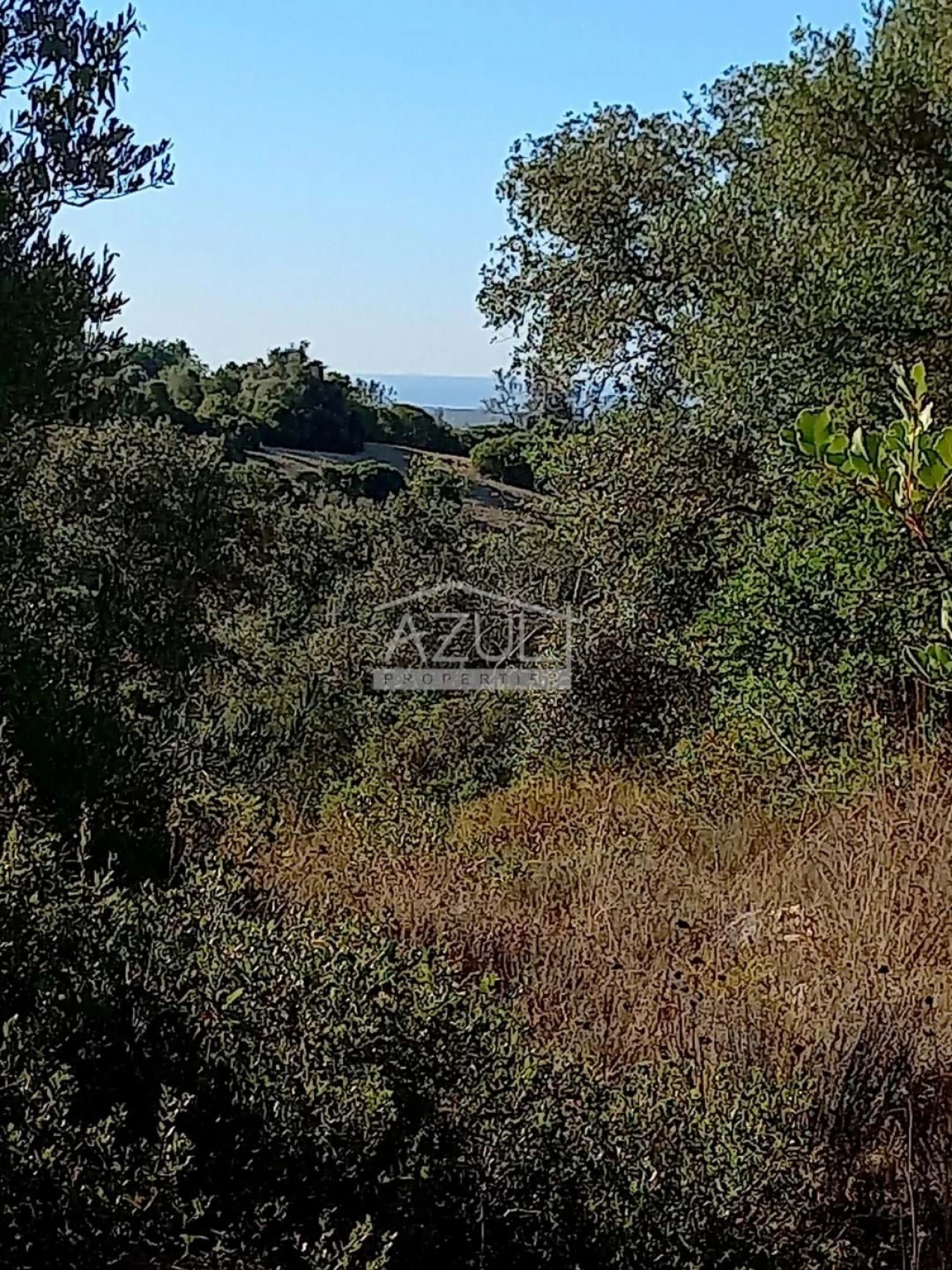 Terreno para Venda em Loule (São Sebastião) Foto 3
