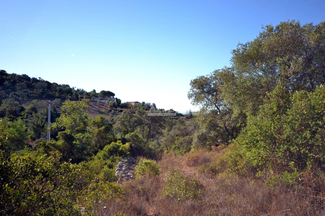 Terreno para Venda em Loule (São Sebastião) Foto 6
