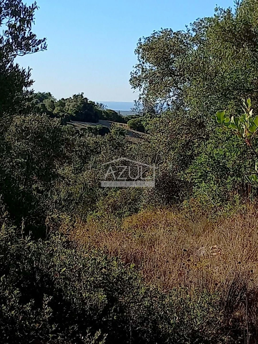 Terreno para Venda em Loule (São Sebastião) Foto 3