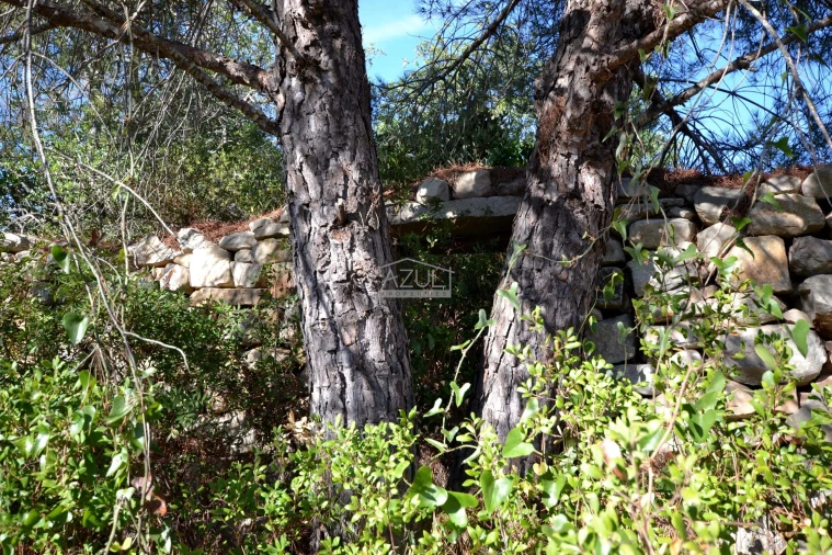 Terreno para Venda em Loule (São Sebastião) Foto 15