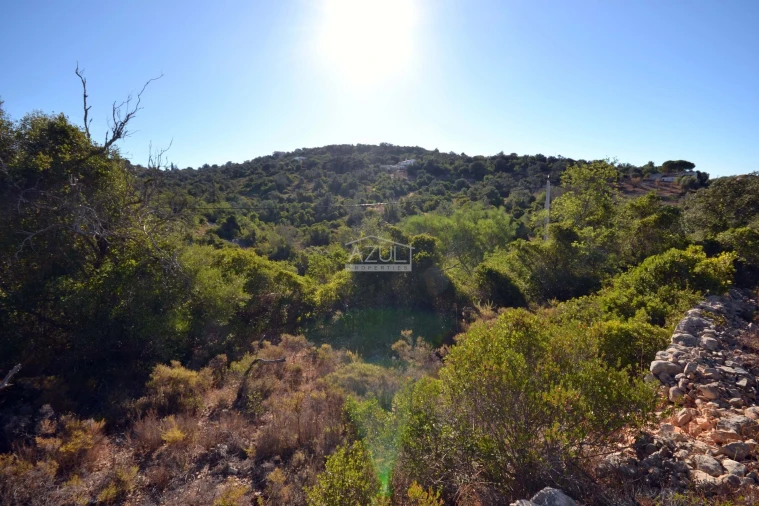 Terreno para Venda em Loule (São Sebastião) Foto 9