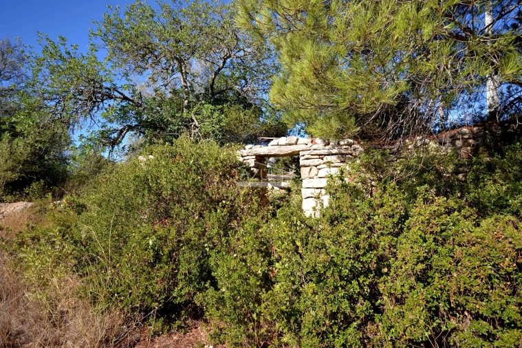 Terreno para Venda em Loule (São Sebastião) Foto 14