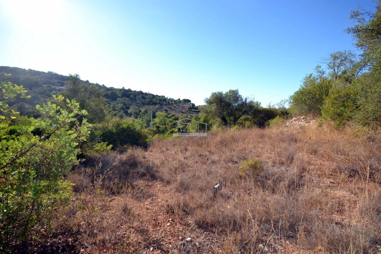 Terreno para Venda em Loule (São Sebastião) Foto 4
