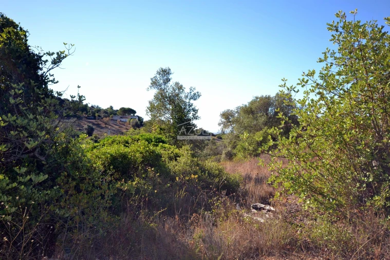 Terreno para Venda em Loule (São Sebastião) Foto 13