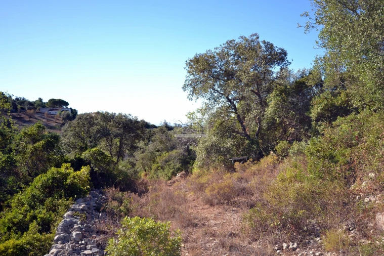 Terreno para Venda em Loule (São Sebastião) Foto 8