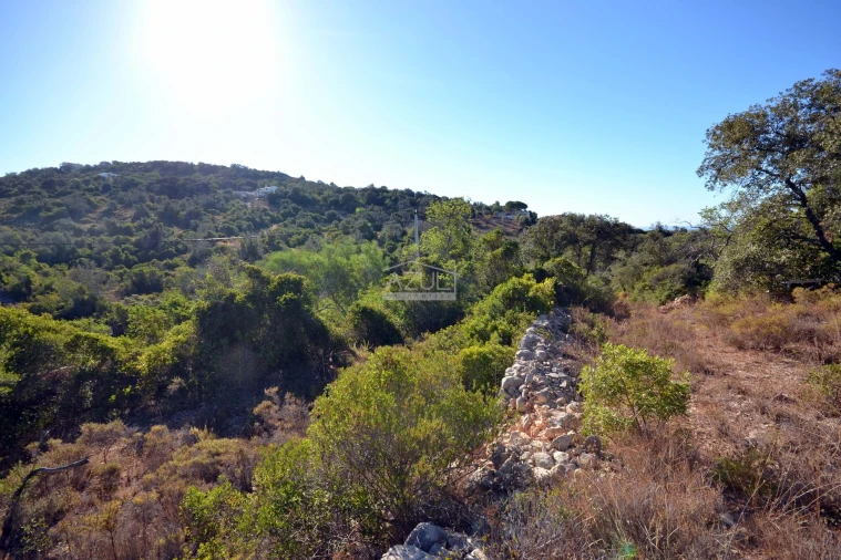 Terreno para Venda em Loule (São Sebastião) Foto 10