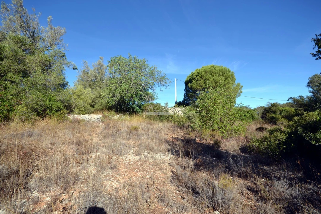 Terreno para Venda em Loule (São Sebastião) Foto 7