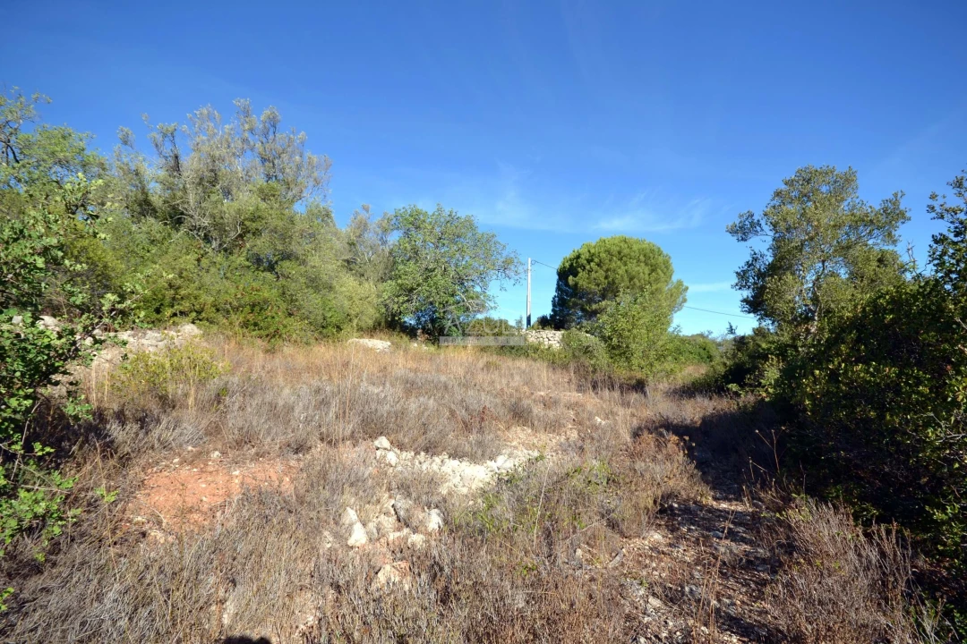 Terreno para Venda em Loule (São Sebastião) Foto 11