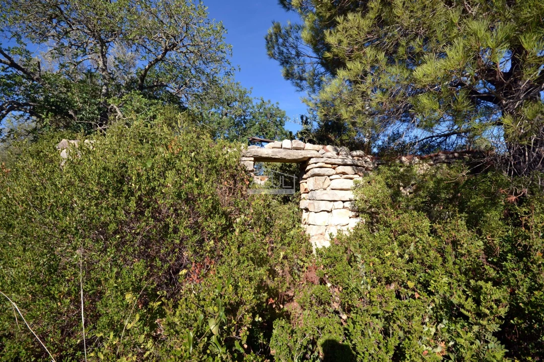 Terreno para Venda em Loule (São Sebastião) Foto 12