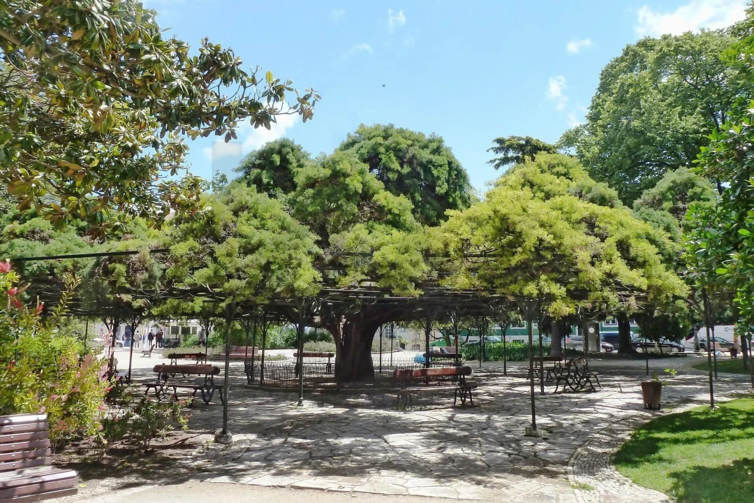 Apartamento para Venda em Santo António Foto 8