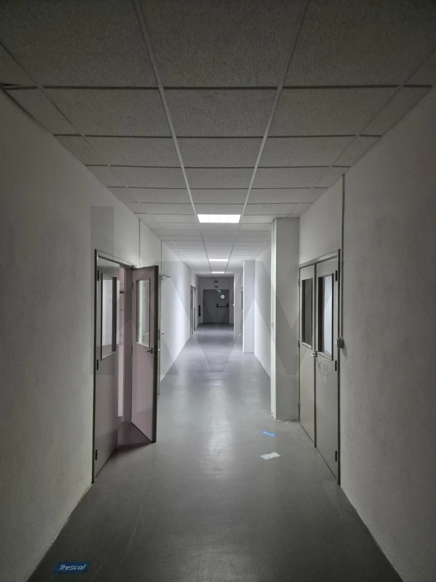 Armazém para Arrendamento em Palmela Foto 18