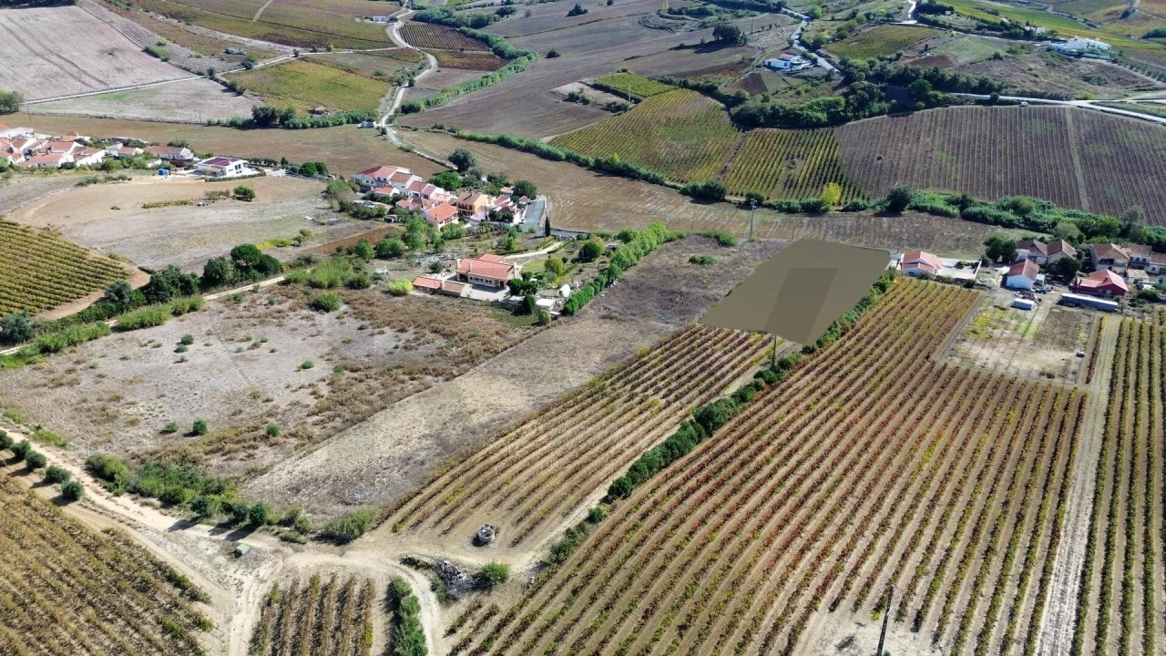 Terreno para Venda em Carvoeira e Carmões Foto 7
